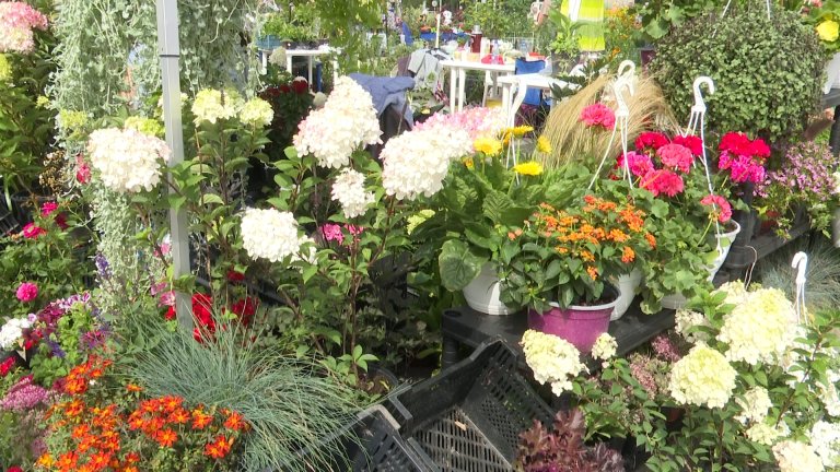 Свои достижения в садоводстве представят дачники на специальной выставке в Иркутске